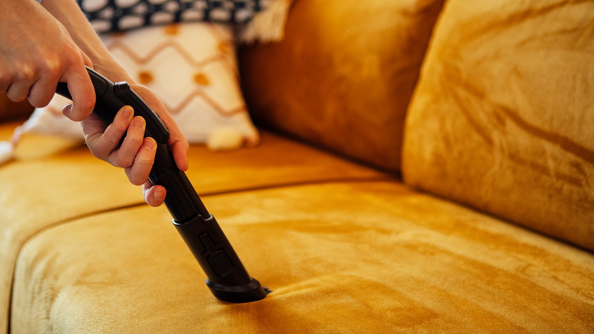 Professional Vacuum Extraction